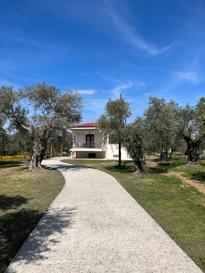 Villa Calypso Скала-Рахониу Экстерьер фото